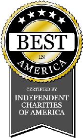 The Independent Charities Seal of Excellence